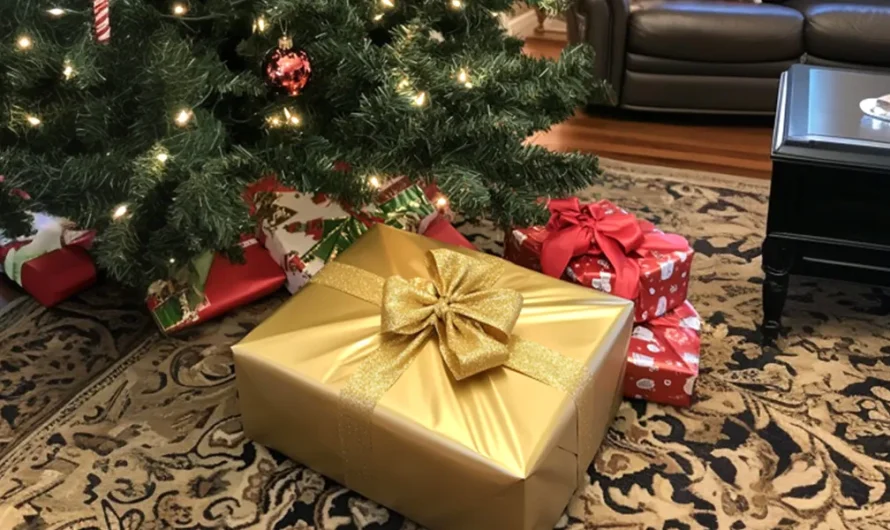 On Christmas Morning, I Found a Gift Addressed to an Unknown Female – My Son Got It in My Husband’s Basement