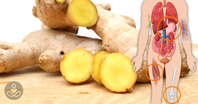 12 Health Benefits Of Ginger – Nausea, Pain, Inflammation, Heart Burn, And More