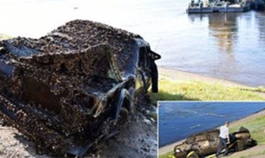 Missing Couple Discovered 12 Years Later in Sunken Car at River’s Depths – Mystery Finally Solved?