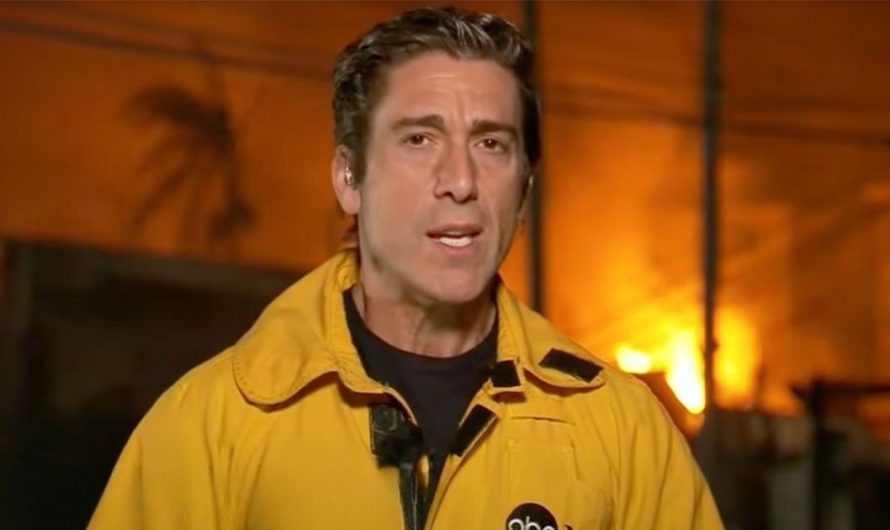 ABC News’ David Muir criticized for alleged ‘narcissistic’ fashion choice during LA wildfire coverage