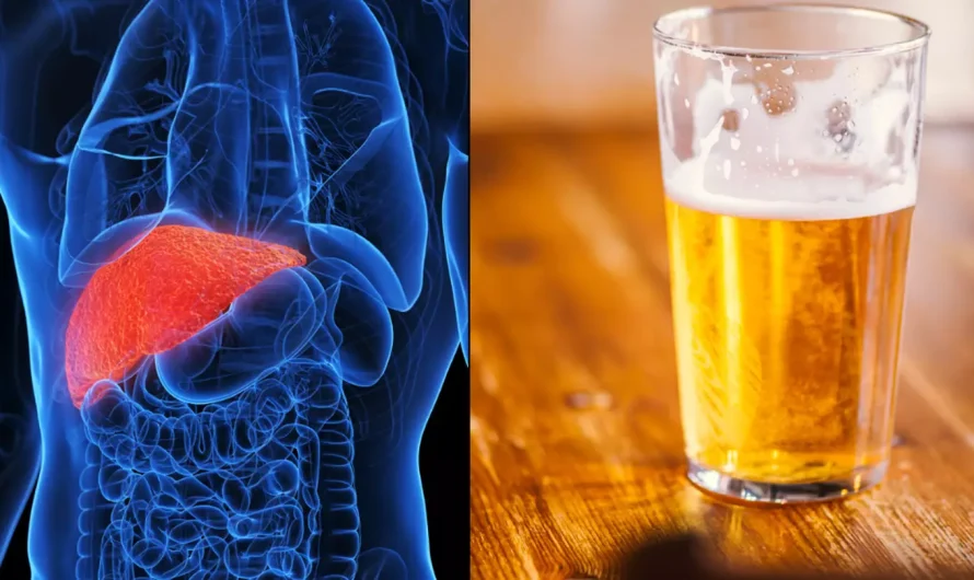 How long it takes your liver to return to normal from drinking as people prepare for Dry January